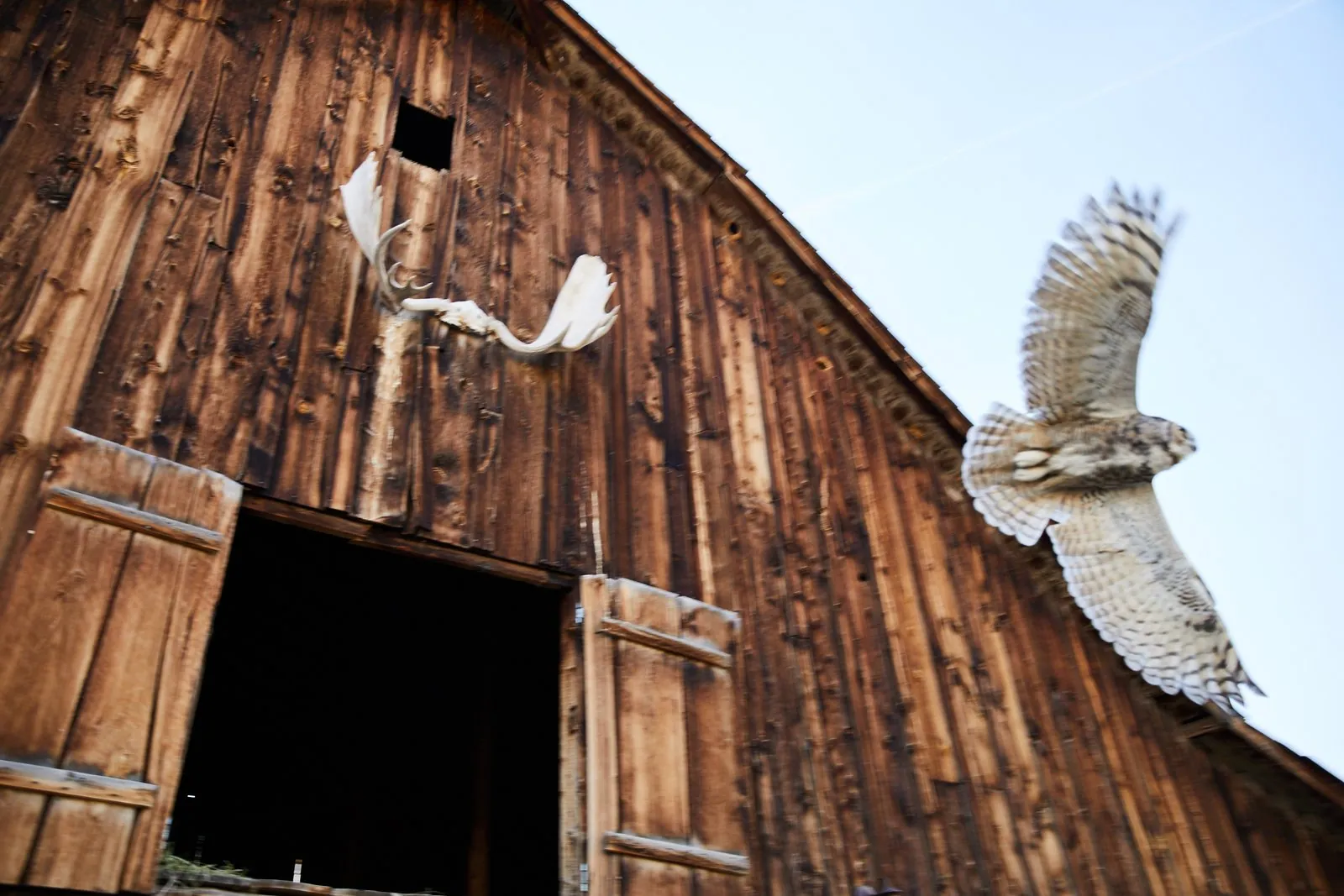 Wyoming, photographed for American Giant