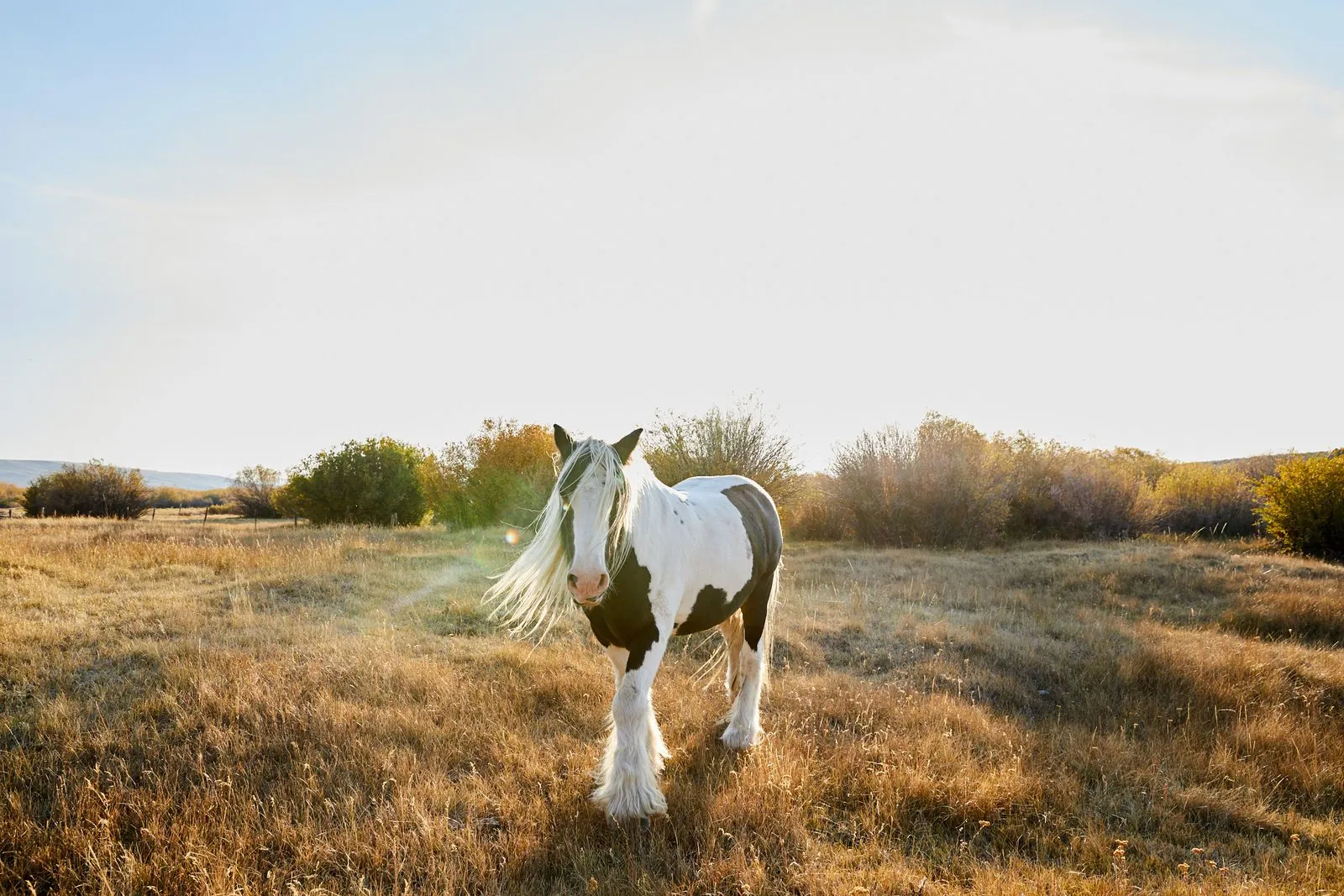 Wyoming, photographed for American Giant