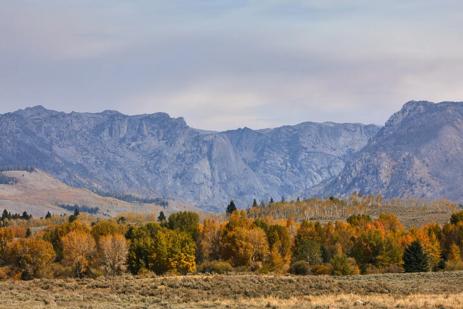 Wyoming, photographed for American Giant