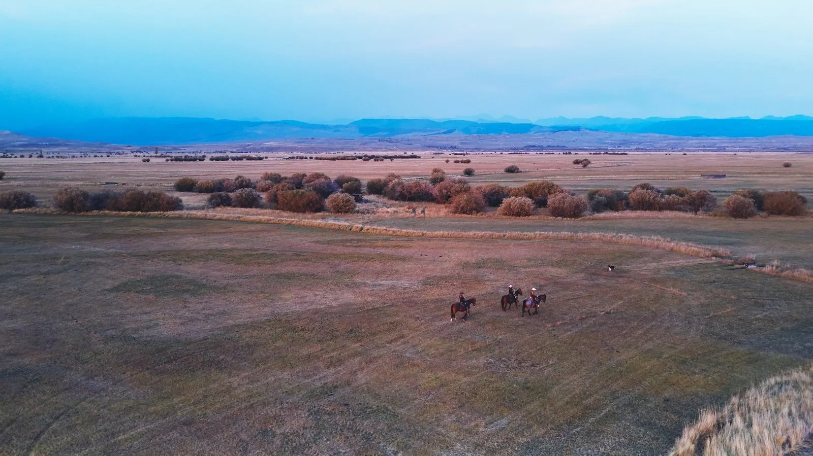 Wyoming, photographed for American Giant
