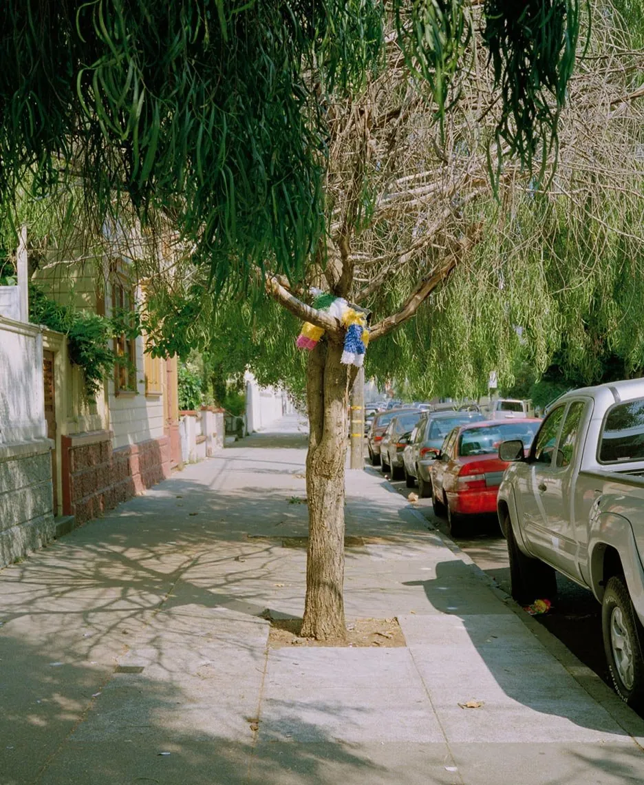 Tree, from Neither Here Nor There